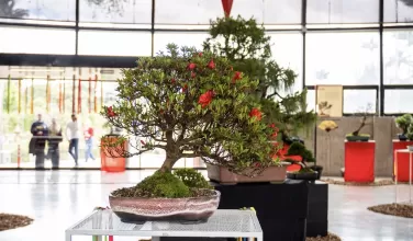 Exhibición en el jardín botánico 