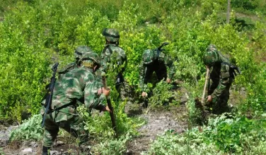 Antioquia lamentó la descertificación de Colombia contra su lucha contra las drogas 