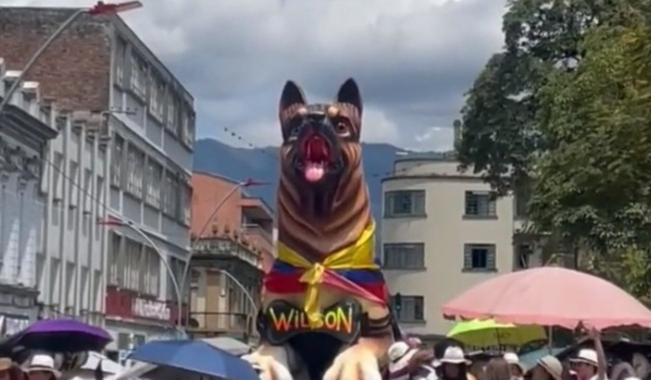 Homenaje a Wilson en Ibagué