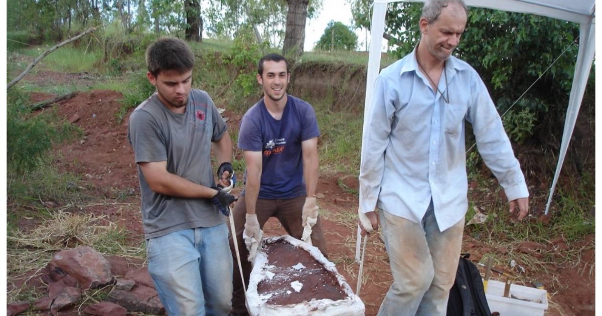 Nueva Especie De Dinosaurio Sin Dientes En Brasil Nueva Especie De Dinosaurio Sin Dientes En Brasil