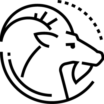 image Capricornio
