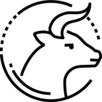 image Tauro