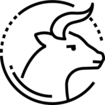 image Tauro