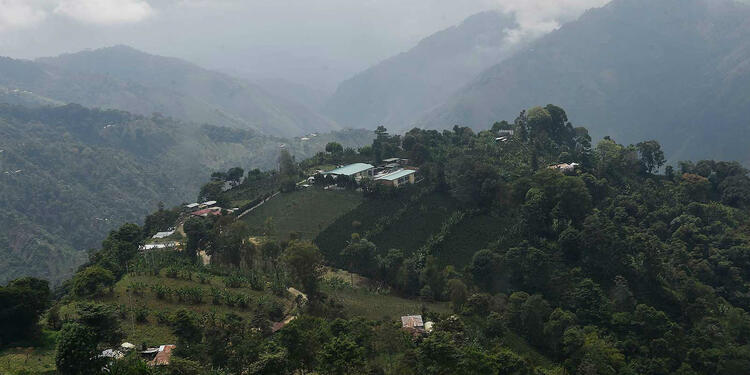 Tolima 170211_09_ChaparralTolima_1800.jpg