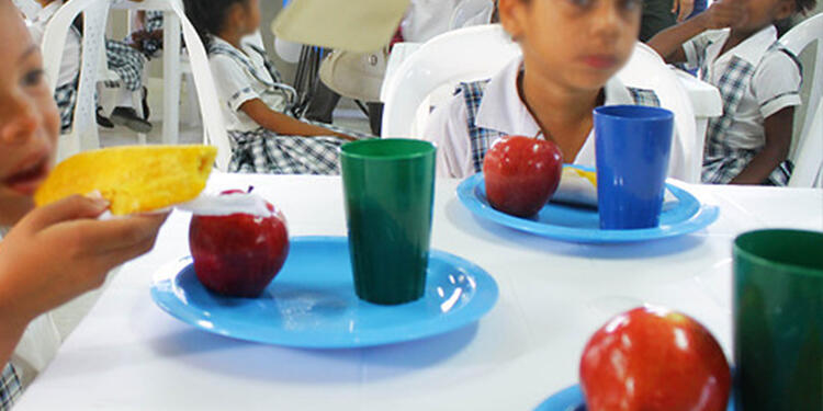 Alimentación escolar Alimentación escolar