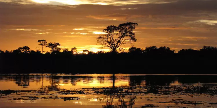 La Reserva Natural Irapai, ubicada en el municipio de Puerto Alegría sobre el Río Amazonas, a 25 kilómetros de Leticia
