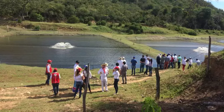 Excombatientes de las Farc Excombatientes de las Farc