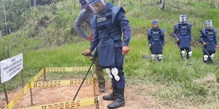 Desminado Desminado.