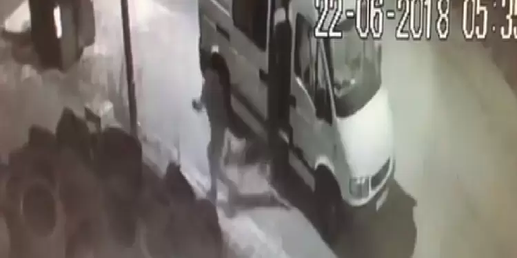 Perro abandonado en medio de la calle