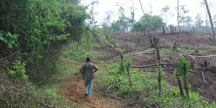 Restitución de Tierras