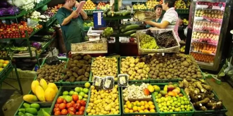 ALIMENTOS ALIMENTOS