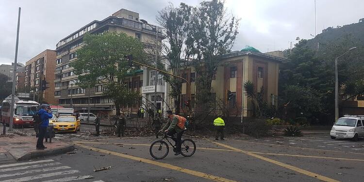 Árboles cayeron en la localidad de Chapinero debido a los fuertes vientos