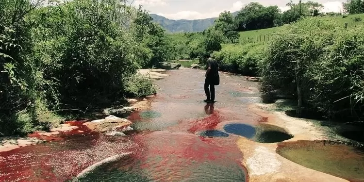 Quebrada Las Gachas (Santander)