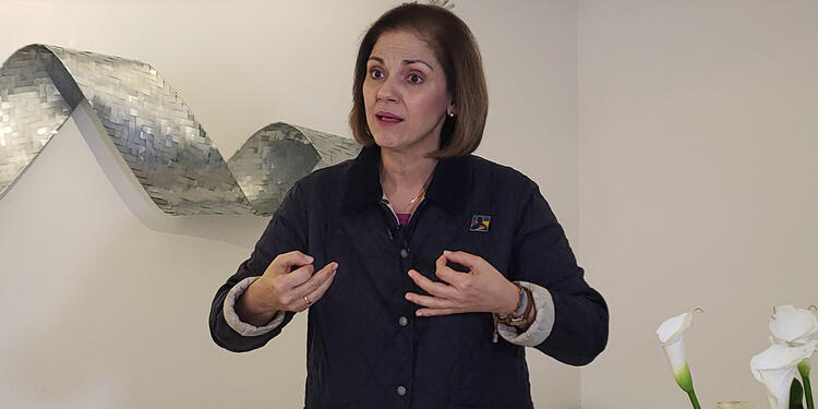 María del Rosario Guerra, congresista del Centro Democrático