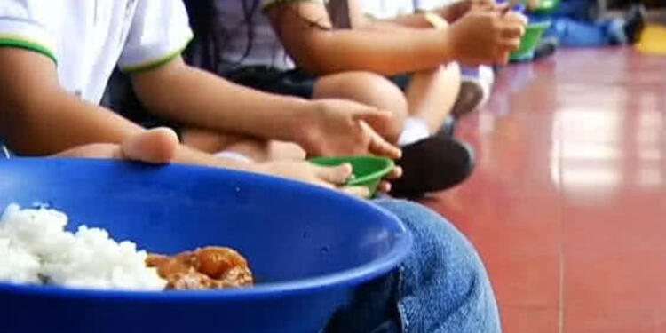 Plan de Alimentación Escolar (PAE), en investigación.