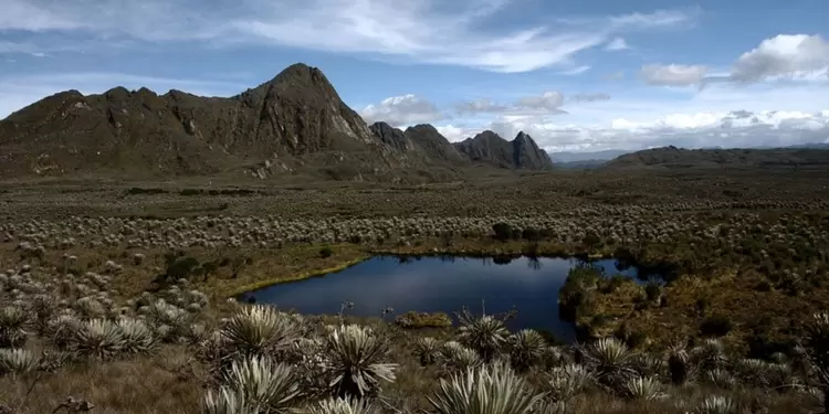 Páramo de Sumapaz
