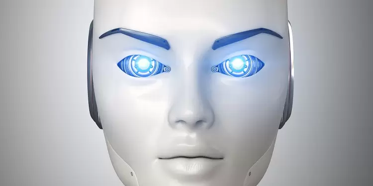 Robot