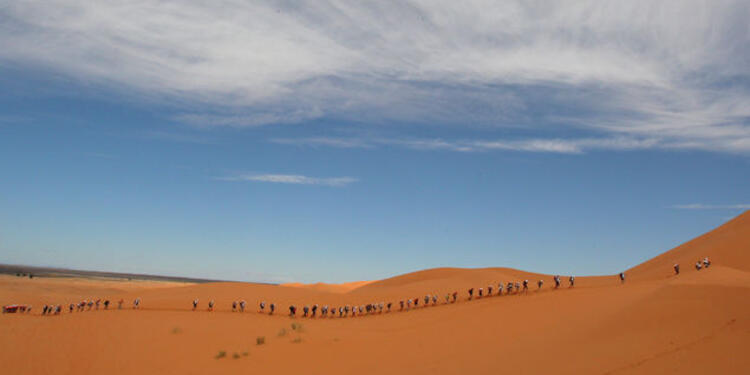 Desierto