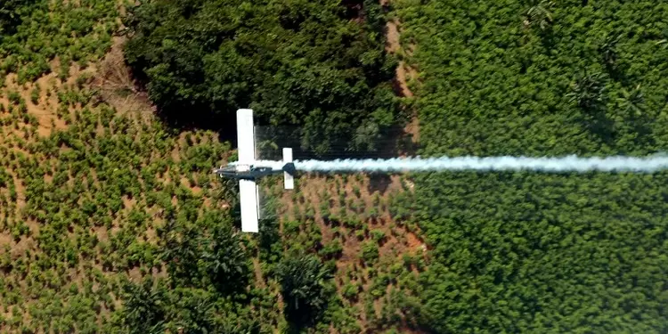 Fumigación aérea de cultivos ilícitos en Tumaco (Nariño)