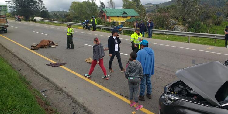 Actores de la Ley del Corazón protagonizan accidente detrantránen Boyacá.