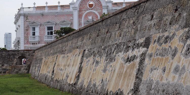 El monumento posee una enfermedad conocida como ‘Costra Negra’ que se desarrolla en climas calurosos.