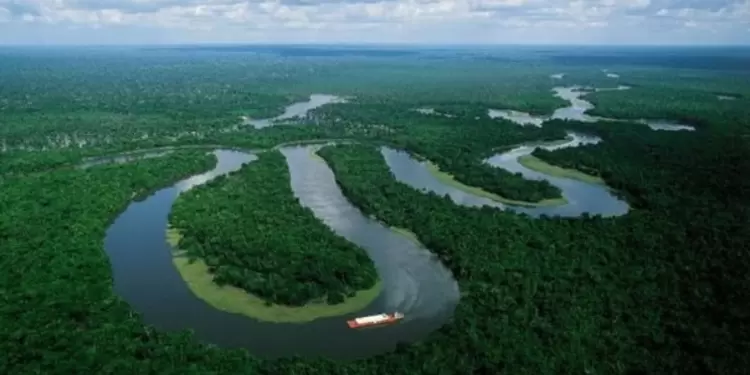 Se han lanzado varios SOS por la protección de la Amazonía.
