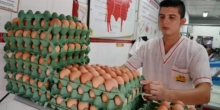 Comerciante de huevos