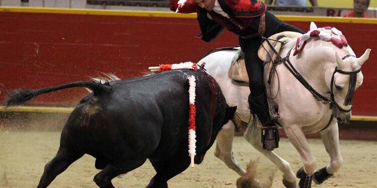 Feria taurina de la macarena, en Medellin