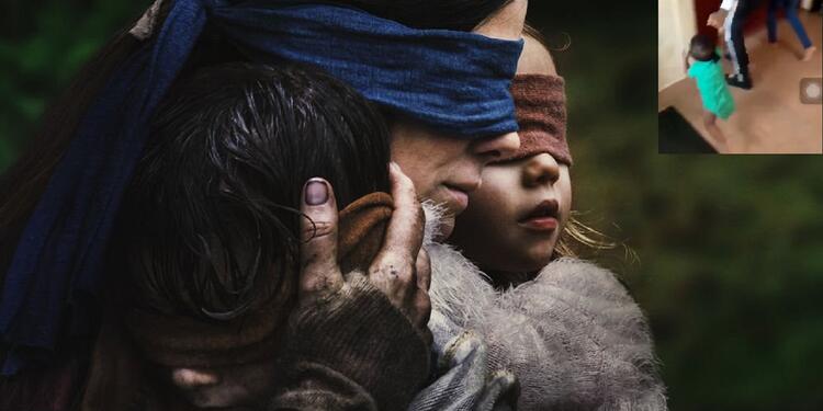 Bird Box
