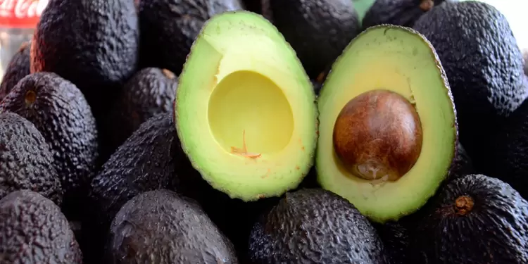 El Super Bowl, el evento No.1 del deporte estadounidense, será clave para las exportaciones de aguacate en Colombia.