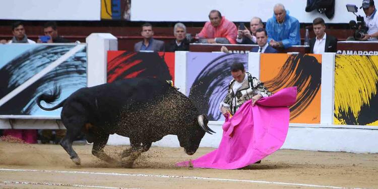 Toros RCN