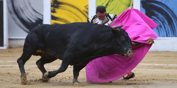 Toros RCN