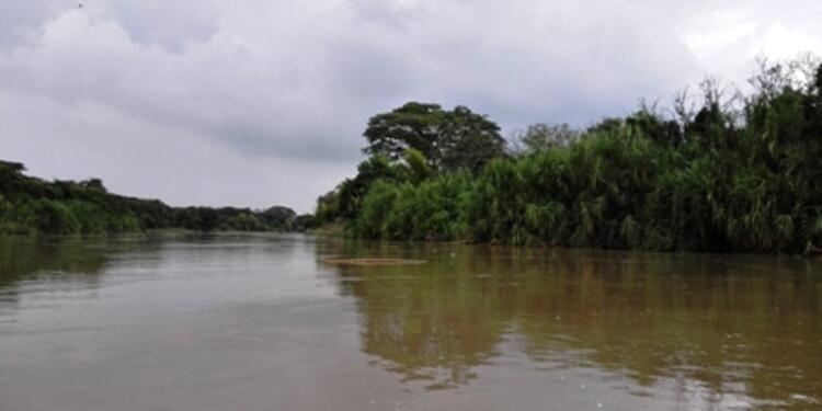 Río Cauca río Cauca.