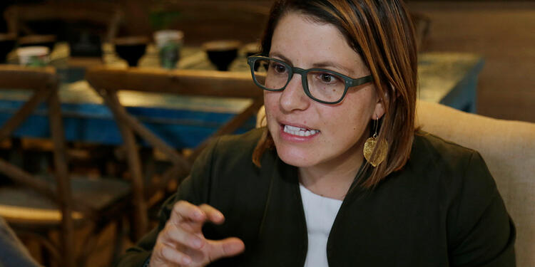 Juanita Goebertus, representante a la Cámara por la Alianza Verde