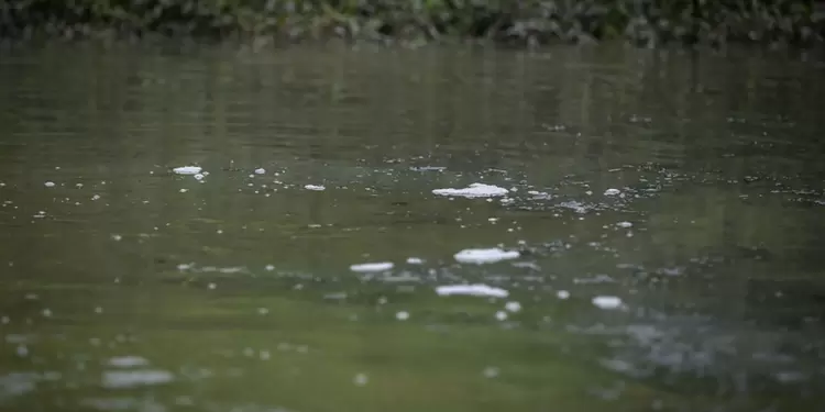 Contaminación del río Bogotá Contaminación del río Bogotá
