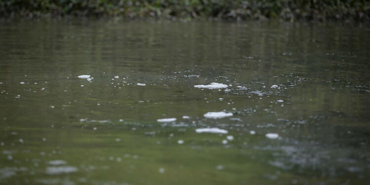 Contaminación del río Bogotá Contaminación del río Bogotá