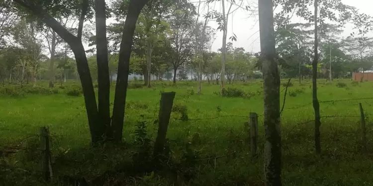 Ejercito y Policía recibió ataque con explosivos en Fortul Arauca Ejercito y Policía recibió ataque con explosivos en Fortul Arauca