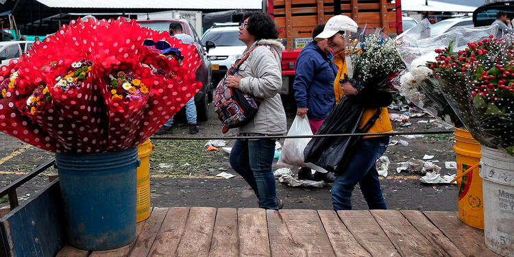 Bogotá, en medio de la conmemoración del Día de la Madre Bogotá, en medio de la conmemoración del Día de la Madre