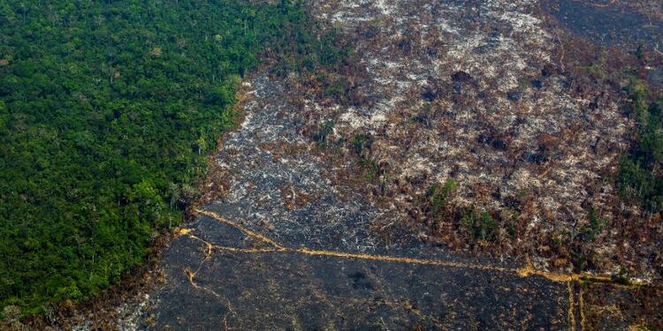 Incendios en la Amazonía