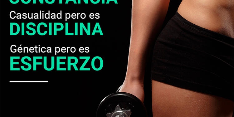 Imagen de la aplicación Fitpal