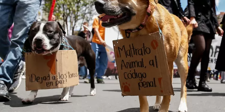 Marcha Nacional
