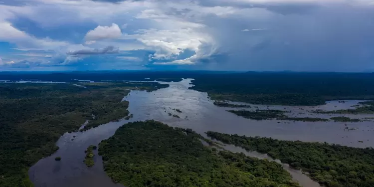 La selva amazónica es el pulmón ambiental del mundo.
