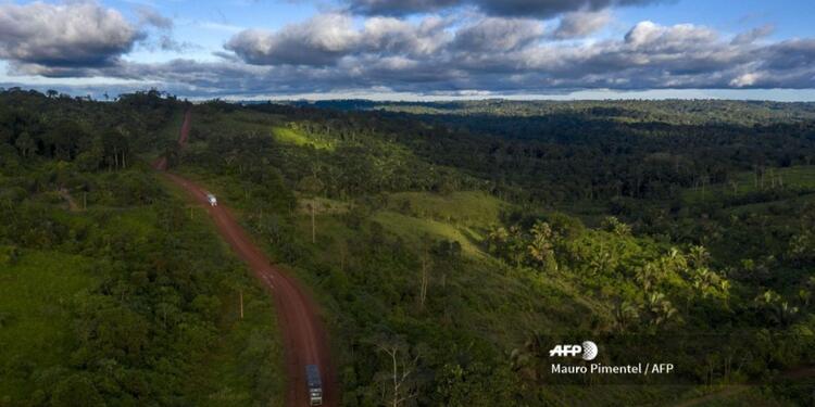Selva La selva amazónica ejerce un rol crucial en la estabilidad de los climas regional y mundial
