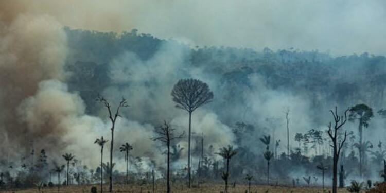 Incendio Forestal en la amazonia brasileña