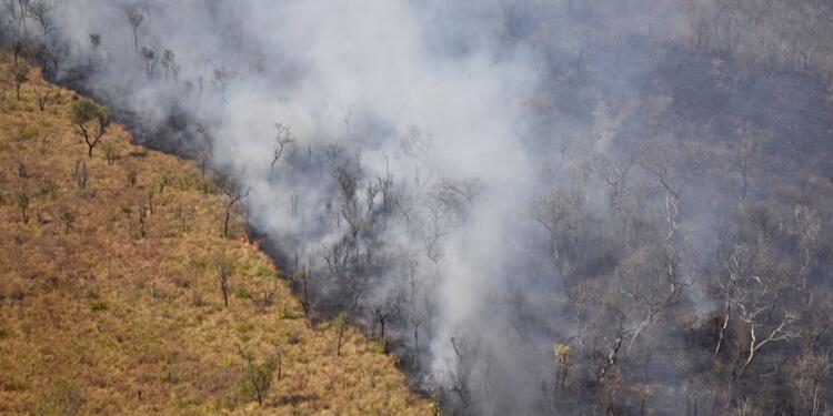 Incendio en la Amazonia