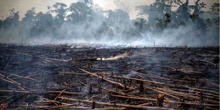 Incendio en la Amazonia, que comparten varios países.