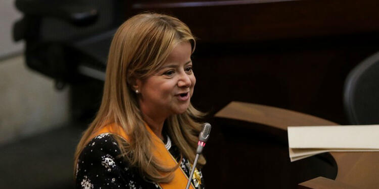 Elsa Noguera, elegida gobernadora del Atlántico Elsa Noguera, elegida gobernadora del Atlántico
