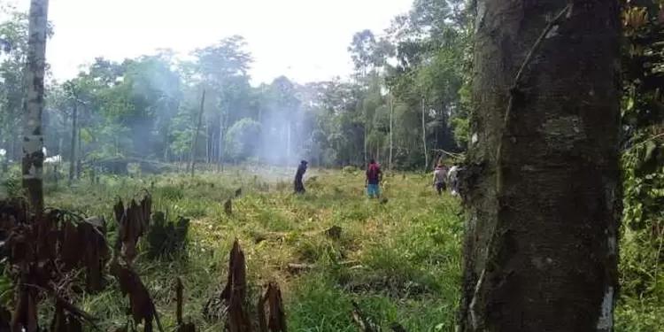 Enfrentamientos entre campesinos y Fuerza Pública