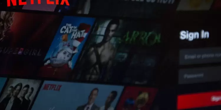 usuario de Netflix