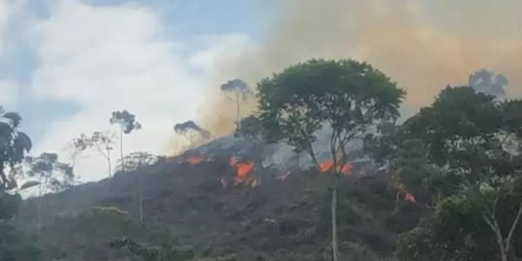 Incendio forestal en el Norte y Nordeste antioqueño.